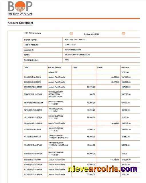 Pakistan Bank of Punjab account statement Word and PDF